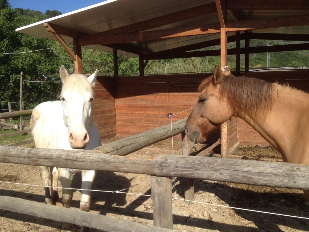 Il Piccolo Ranch Hotel Черво Екстериор снимка