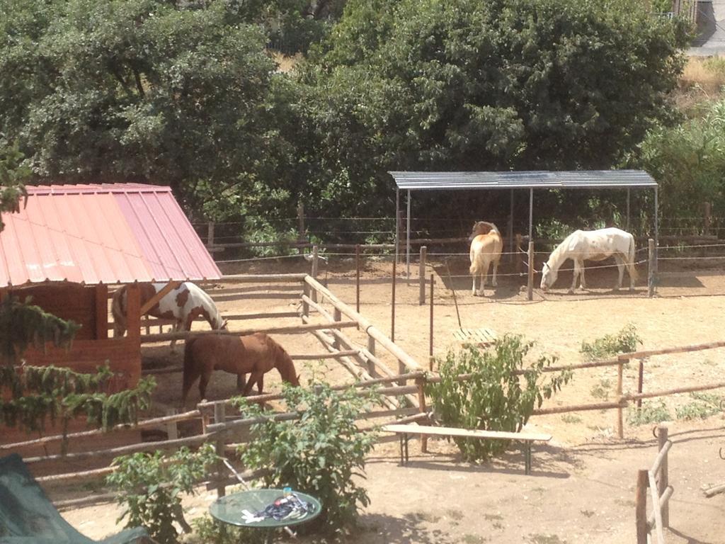 Il Piccolo Ranch Hotel Черво Екстериор снимка