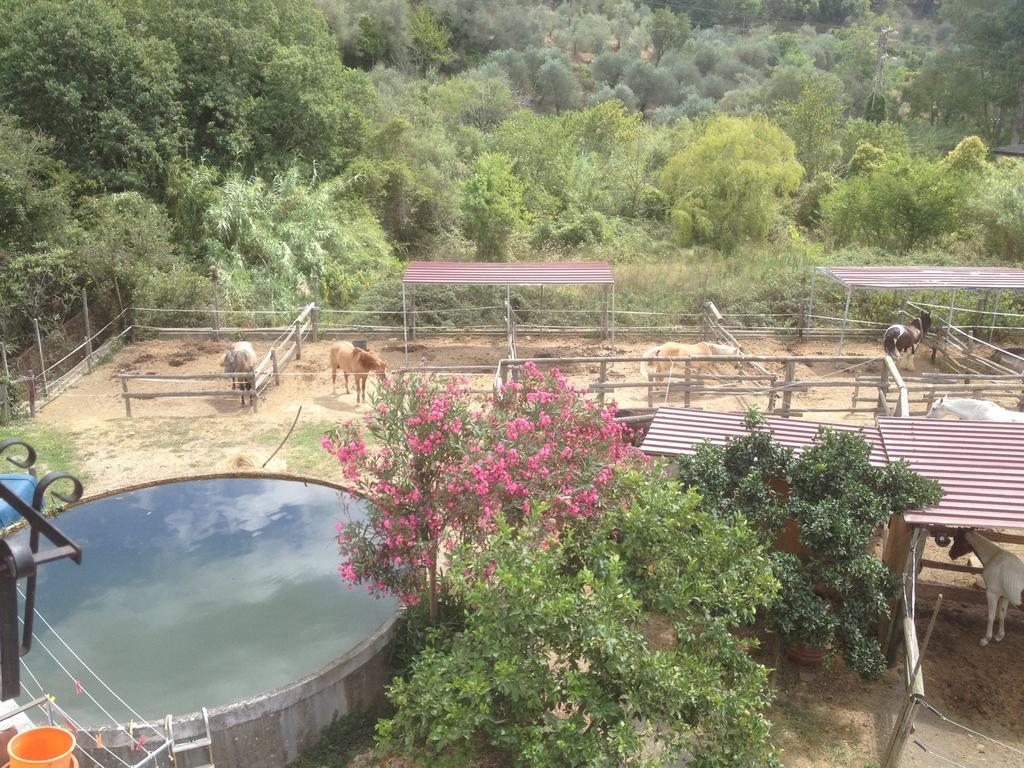 Il Piccolo Ranch Hotel Черво Екстериор снимка